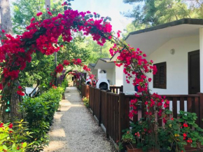 Camping Villaggio Internazionale